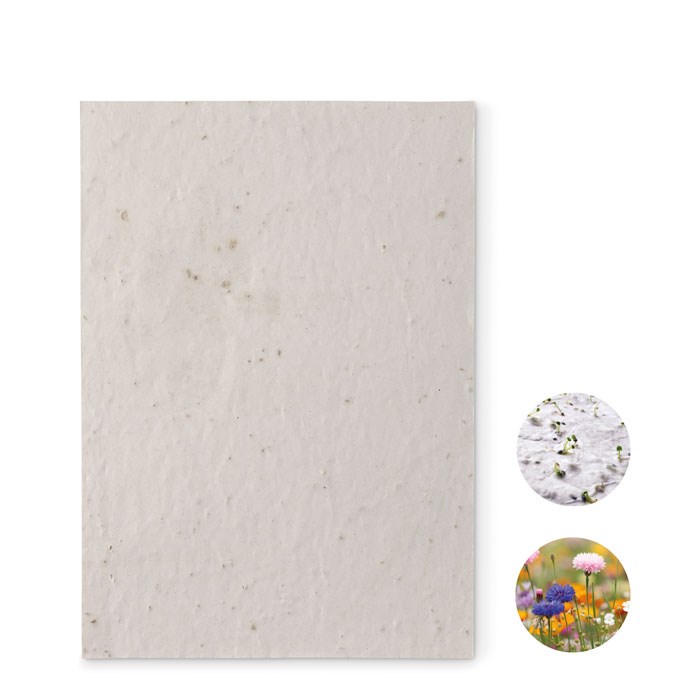 ASIDE - DIN A5 Wildblumen-Samenpapier